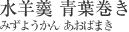 水羊羹　青葉巻き[みずようかん　あおばまき]